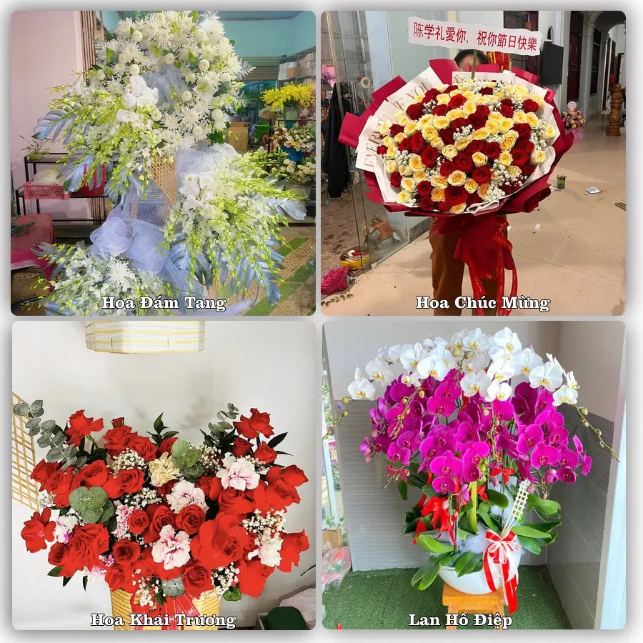 Dịch vụ đặt hoa và giao tận nơi tại Xã Trần Phú - Thành phố Hải Phòng