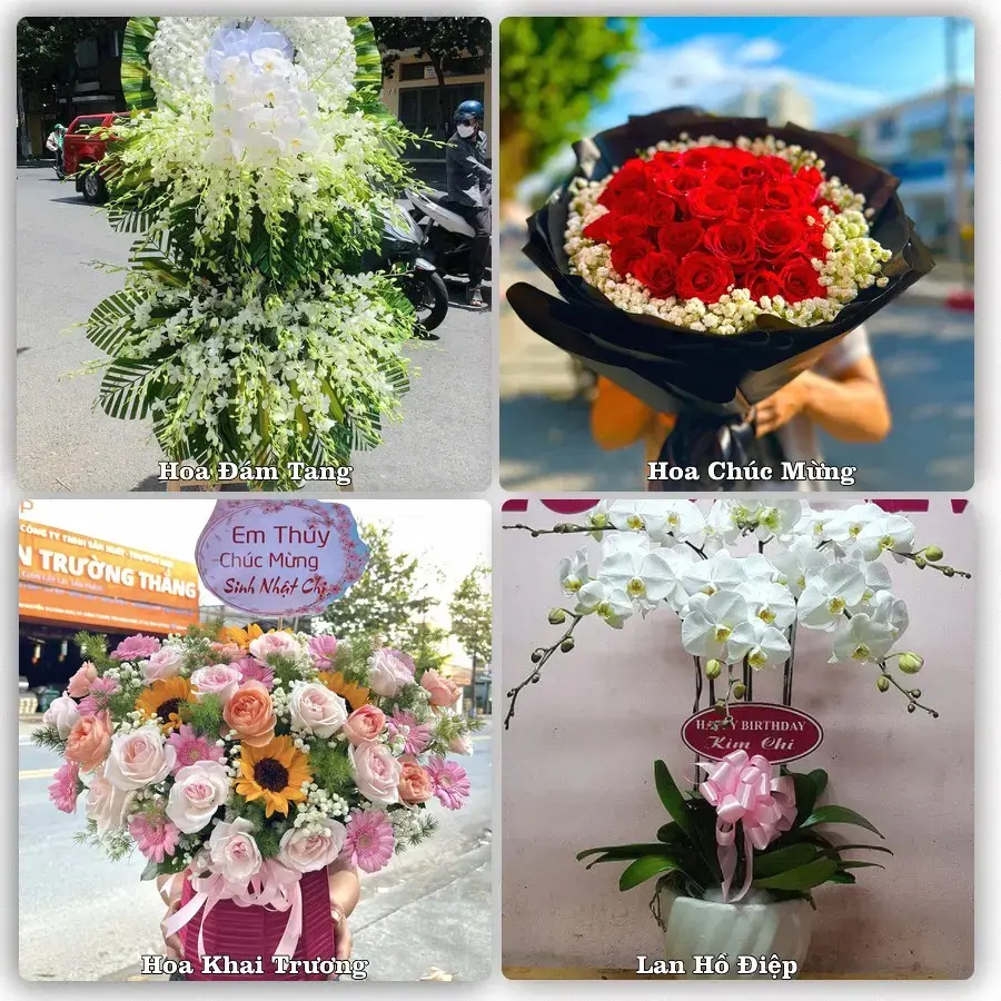 Tư vấn chọn hoa theo người nhận và dịp tặng tại Xã Trần Phú - Thành phố Hải Phòng