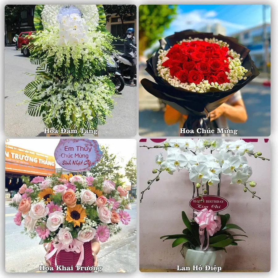Tư vấn chọn hoa theo người nhận và dịp tặng tại Xã Trần Phú - Thành phố Hải Phòng