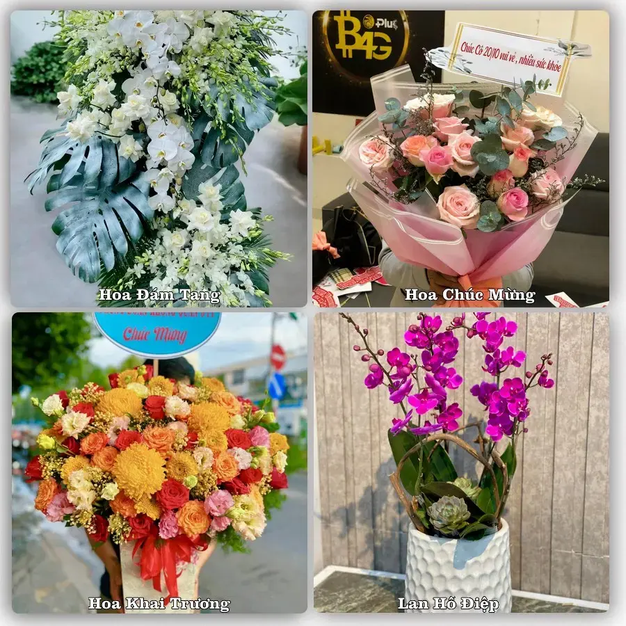Shop hoa Xã Vạn Xuân, Hưng Yên – tư vấn mẫu, giao tận nơi