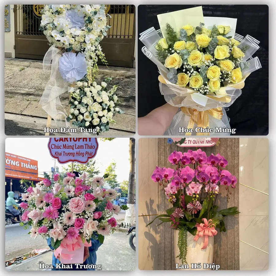 Tư vấn chọn hoa theo người nhận và dịp tặng tại Xã Vạn Xuân - Tỉnh Hưng Yên