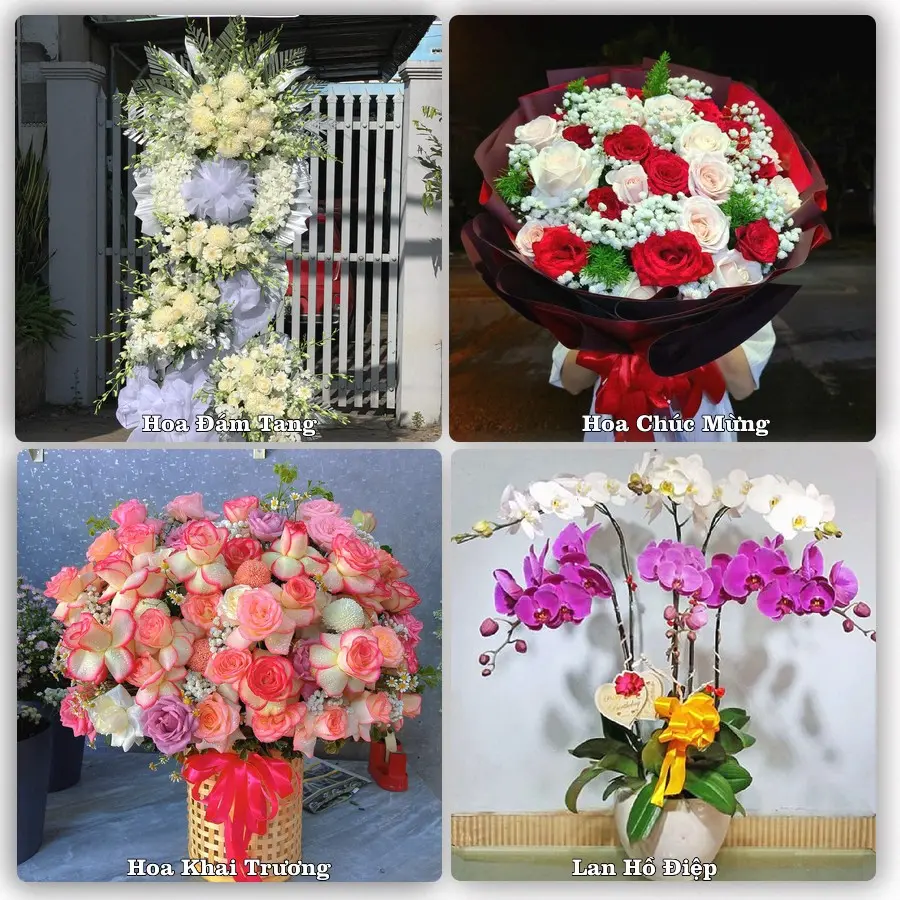 Tư vấn chọn hoa theo người nhận và dịp tặng tại Xã Xuân Hải - Tỉnh Khánh Hòa