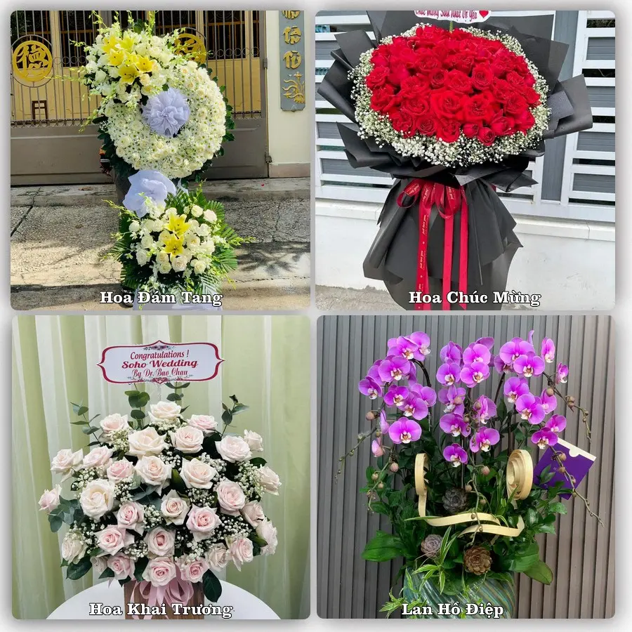 Tư vấn chọn hoa theo người nhận và dịp tặng tại Xã Chợ Mới - Tỉnh An Giang