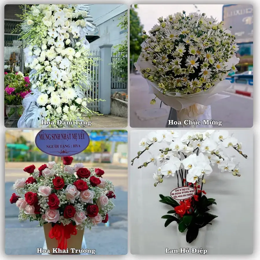 Điện hoa Phường Mỹ Ngãi, Đồng Tháp – đặt online, xem hình trước khi giao
