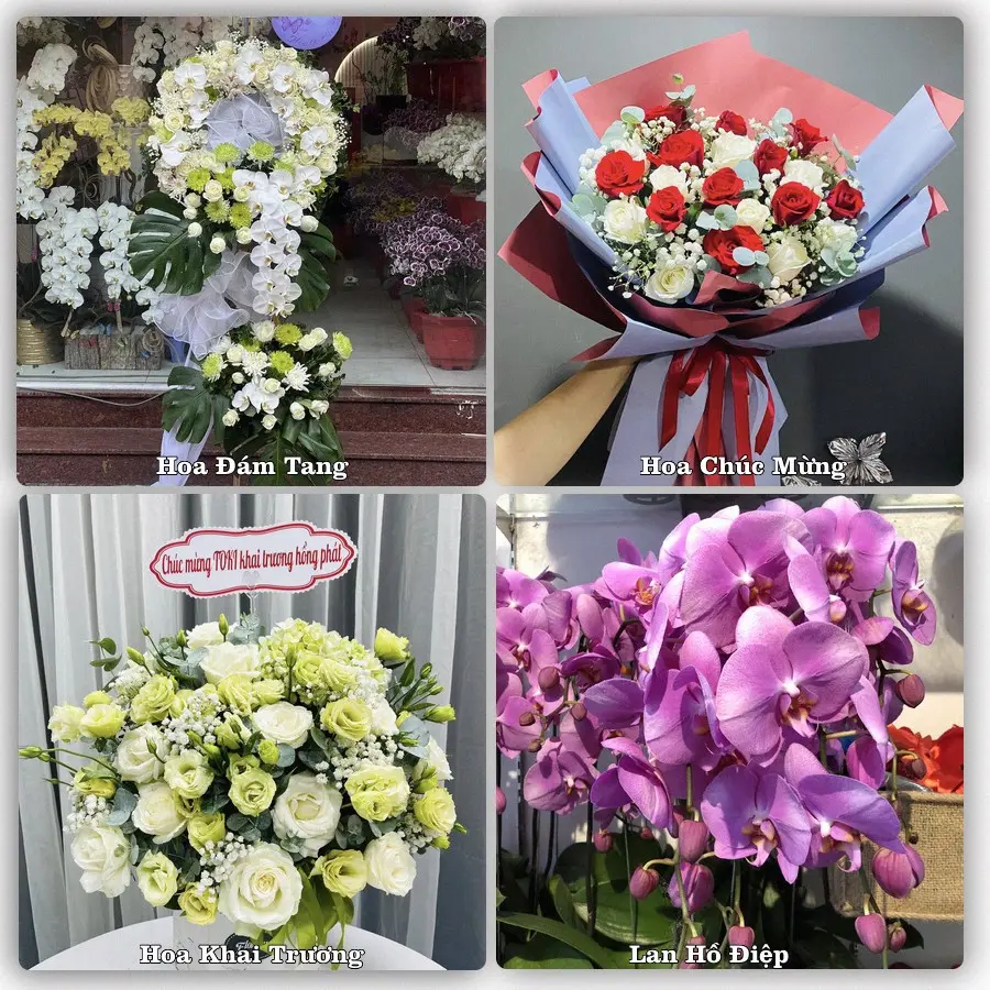 Tư vấn chọn hoa theo người nhận và dịp tặng tại Phường Mỹ Ngãi - Tỉnh Đồng Tháp