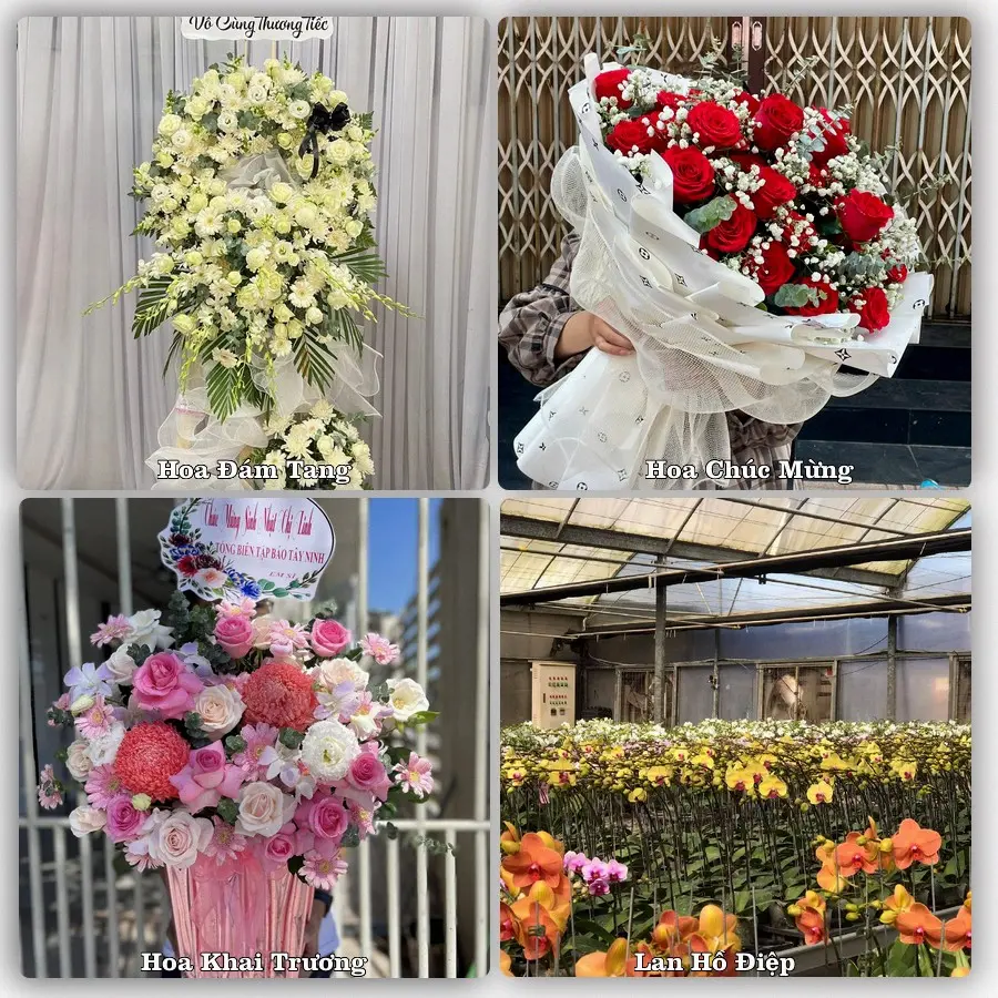 Tư vấn chọn hoa theo người nhận và dịp tặng tại Xã Nghĩa Hưng - Tỉnh Ninh Bình