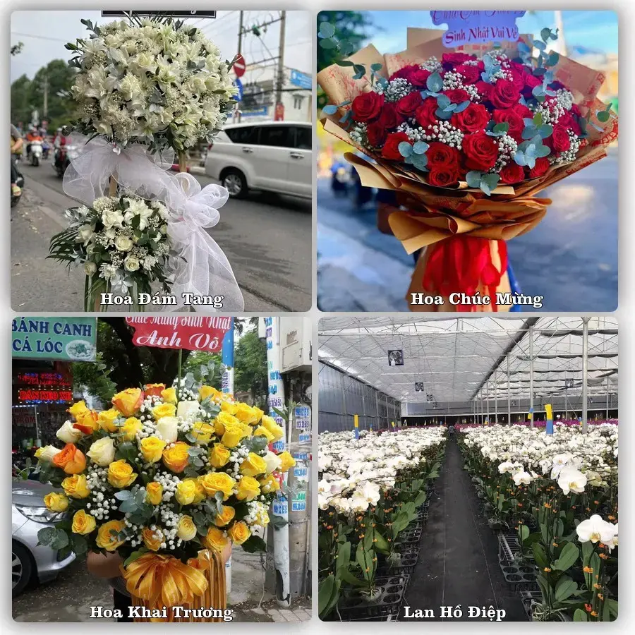Điện hoa Xã Nguyệt Đức, Phú Thọ – đặt online, xem hình trước khi giao
