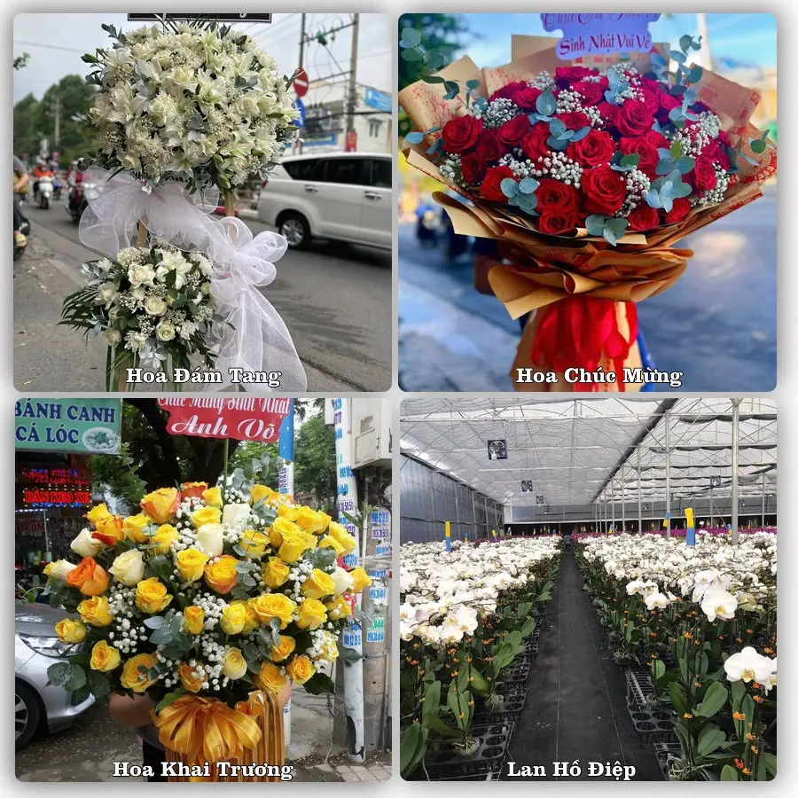 Mẫu hoa phục vụ nhu cầu đặt hoa tại Xã Nguyệt Đức - Tỉnh Phú Thọ