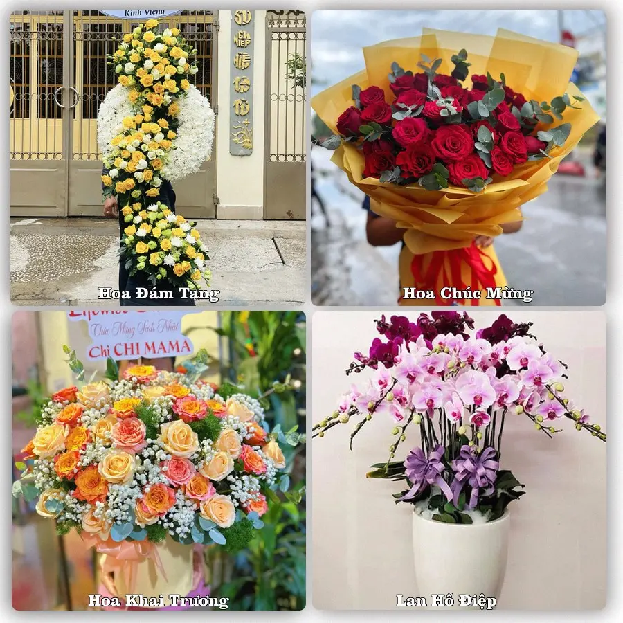 Tư vấn chọn hoa theo người nhận và dịp tặng tại Xã Nguyệt Đức - Tỉnh Phú Thọ