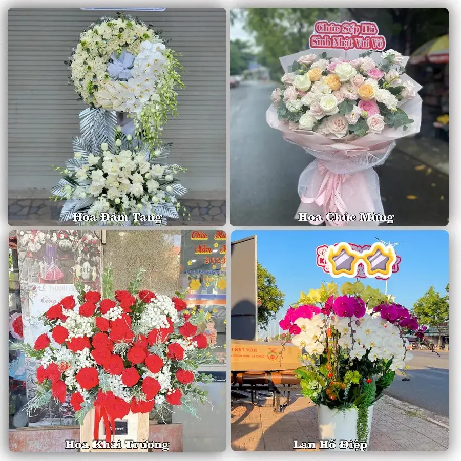 Tư vấn chọn hoa theo người nhận và dịp tặng tại Phường Quyết Thắng - Tỉnh Thái Nguyên