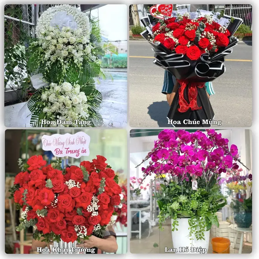 Tư vấn chọn hoa theo người nhận và dịp tặng tại Phường Thanh Điền - Tỉnh Tây Ninh