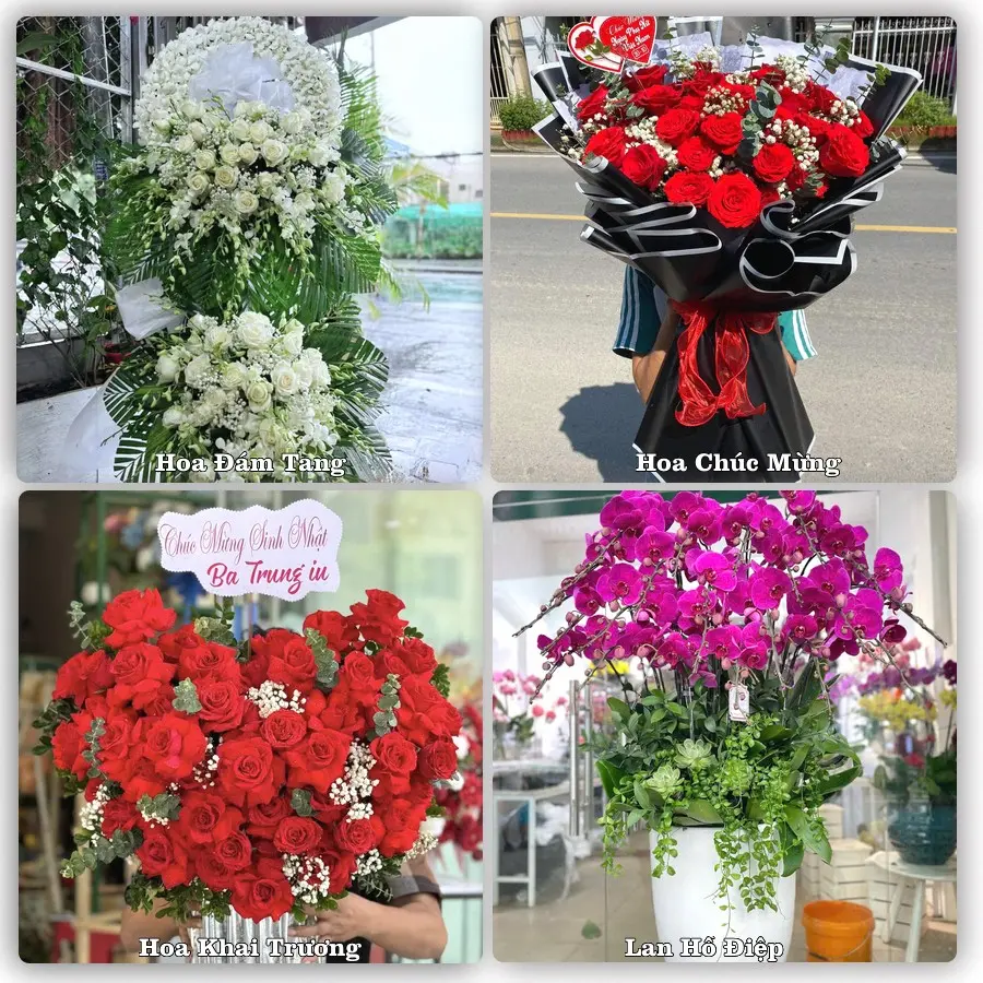 Tư vấn chọn hoa theo người nhận và dịp tặng tại Phường Thanh Điền - Tỉnh Tây Ninh