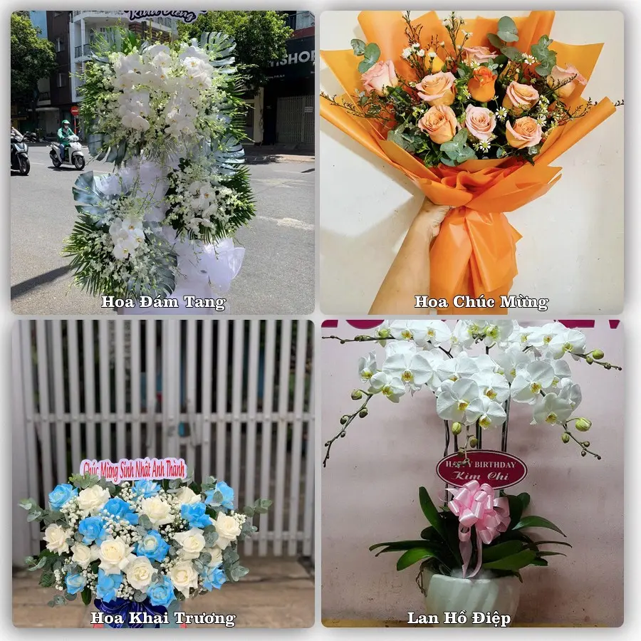 Dịch vụ đặt hoa và giao tận nơi tại Xã Thọ Long - Tỉnh Thanh Hóa