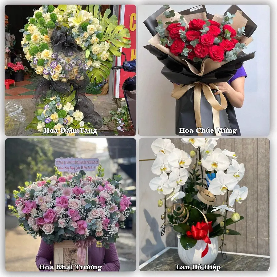 Tư vấn chọn hoa theo người nhận và dịp tặng tại Xã Thọ Long - Tỉnh Thanh Hóa