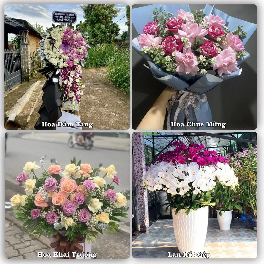 Tư vấn chọn hoa theo người nhận và dịp tặng tại Phường Thống Nhất - Tỉnh Gia Lai