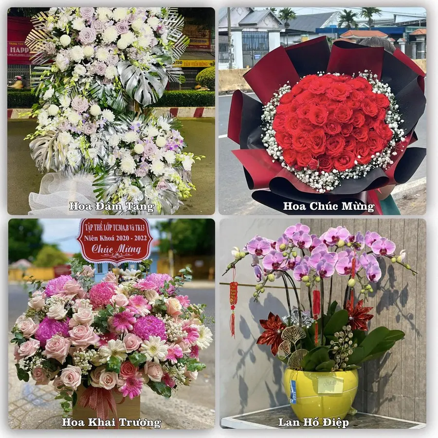 Mẫu hoa phục vụ nhu cầu đặt hoa tại Xã Tri Tôn - Tỉnh An Giang