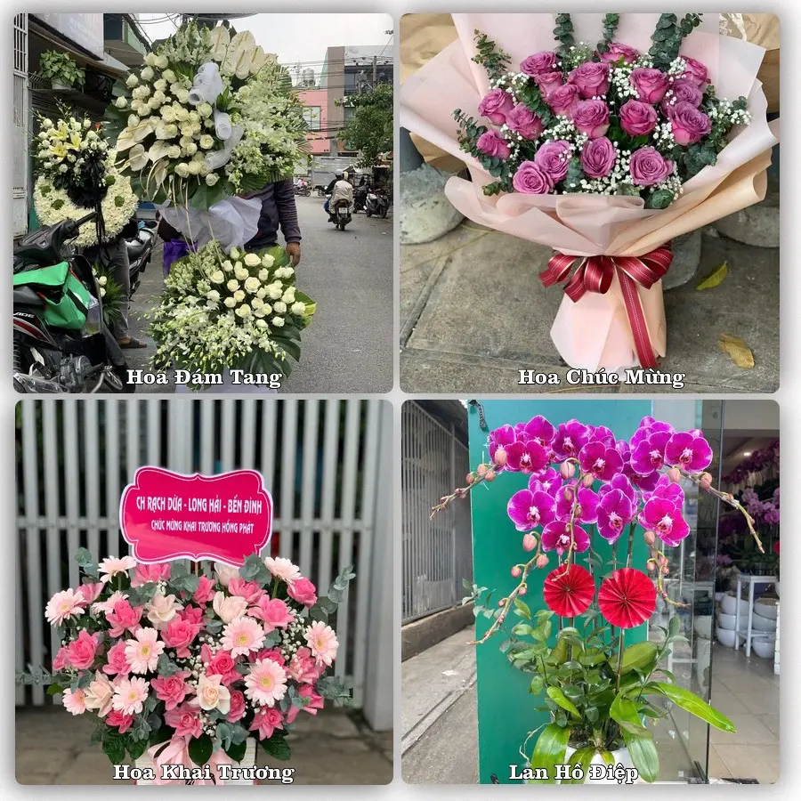 Tư vấn chọn hoa theo người nhận và dịp tặng tại Xã Tri Tôn - Tỉnh An Giang