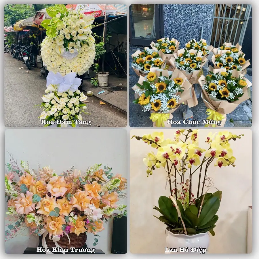 Mẫu hoa phục vụ nhu cầu đặt hoa tại Phường Việt Hòa - Thành phố Hải Phòng