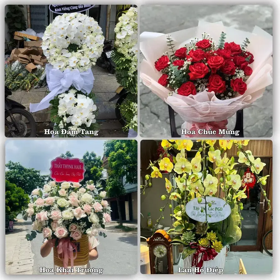 Shop hoa tươi Phường Cẩm Thành, Quảng Ngãi – đặt hoa theo dịp, giao tận nơi