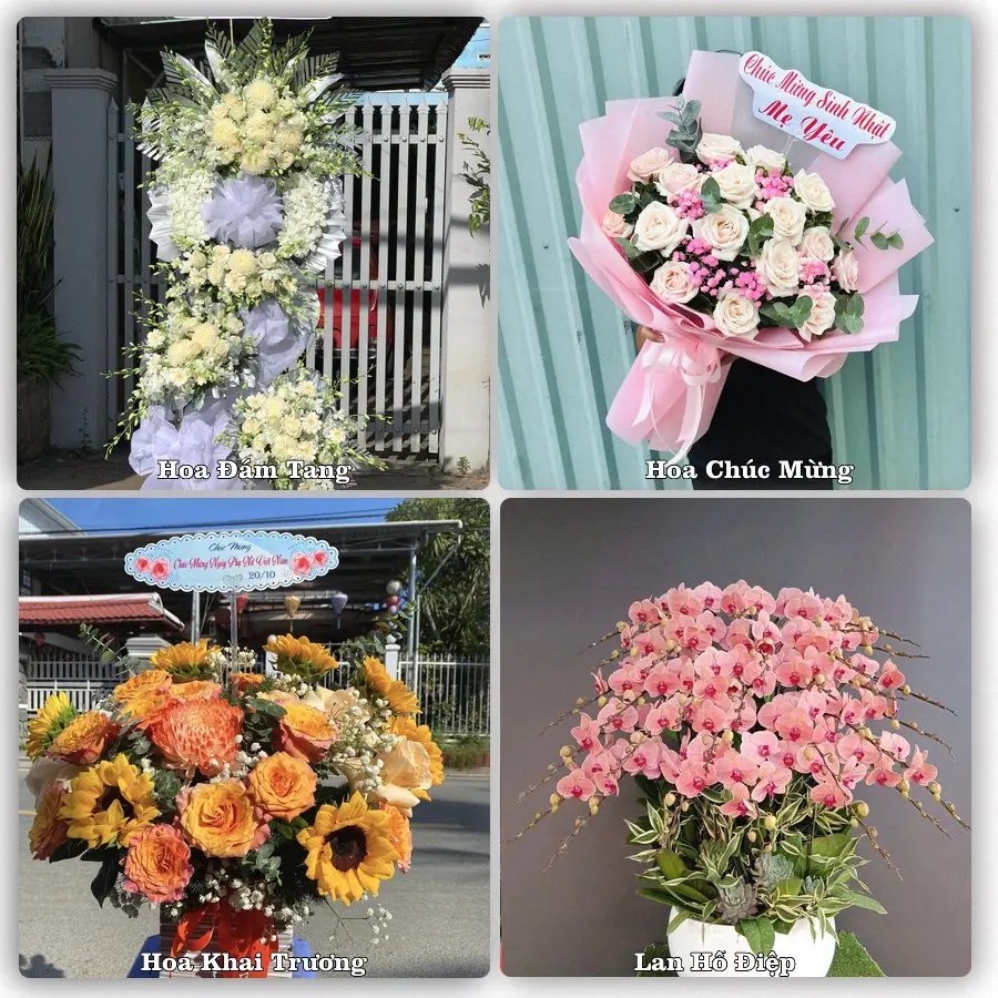 Tư vấn chọn hoa theo người nhận và dịp tặng tại Phường Cẩm Thành - Tỉnh Quảng Ngãi