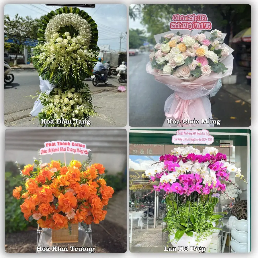 Dịch vụ đặt hoa và giao tận nơi tại Xã Đại Lộc - Thành phố Đà Nẵng