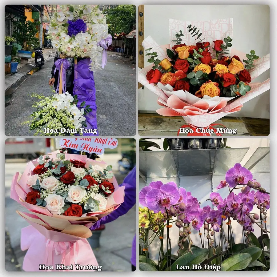 Tư vấn chọn hoa theo người nhận và dịp tặng tại Xã Đại Lộc - Thành phố Đà Nẵng
