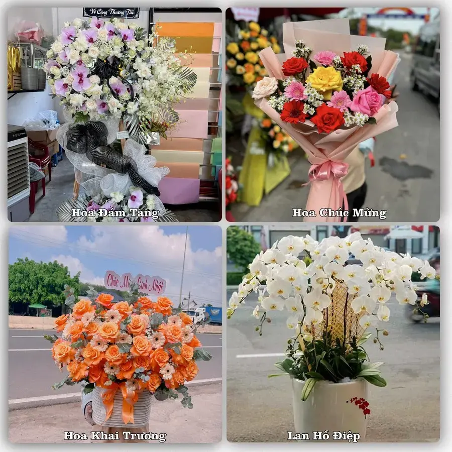Hoa tươi Xã Đông Thụy Anh, Hưng Yên – mẫu hoa theo dịp, giá tham khảo