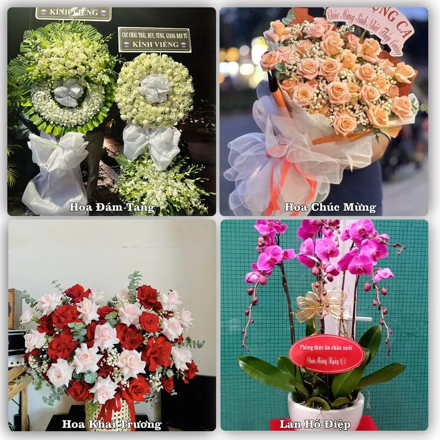 Dịch vụ đặt hoa và giao tận nơi tại Xã Kiến Thụy - Thành phố Hải Phòng