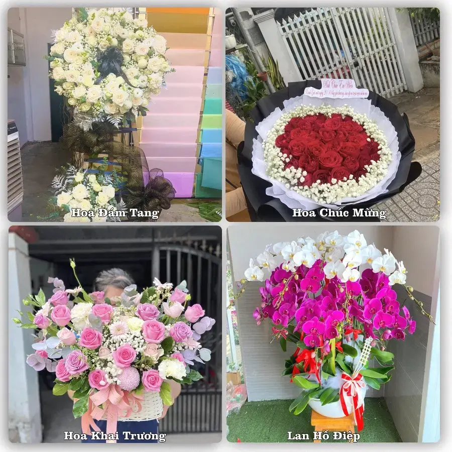 Hoa tươi Xã Kiến Thụy, Hải Phòng – mẫu hoa theo dịp, giá tham khảo