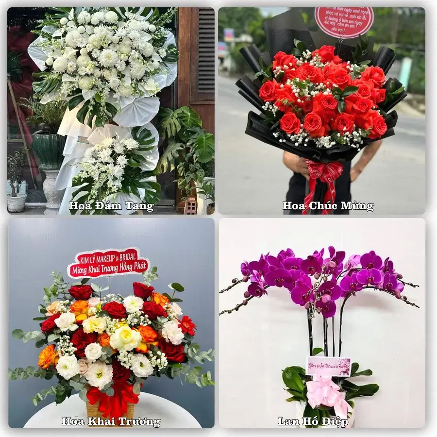 Tư vấn chọn hoa theo người nhận và dịp tặng tại Xã Kiến Thụy - Thành phố Hải Phòng