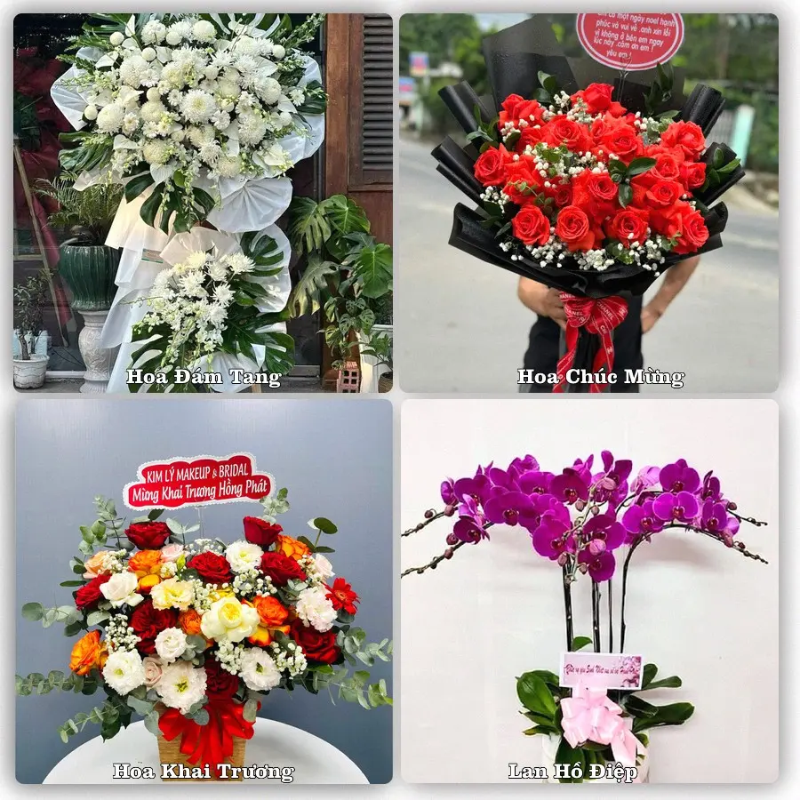 Tư vấn chọn hoa theo người nhận và dịp tặng tại Xã Kiến Thụy - Thành phố Hải Phòng
