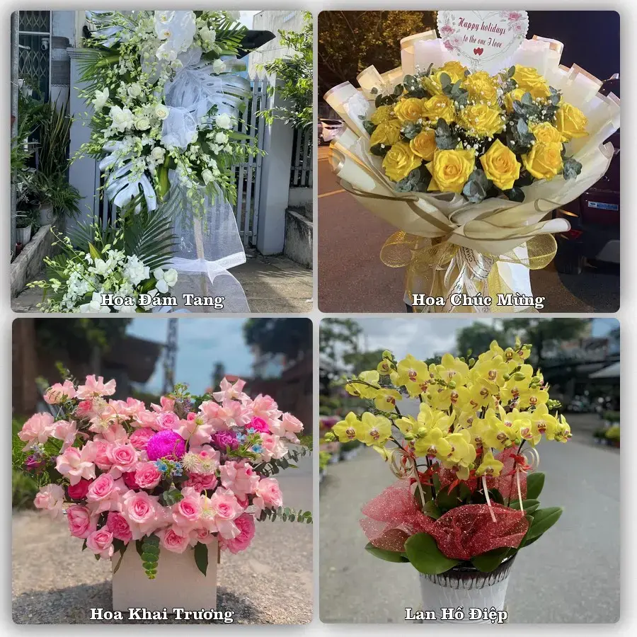 Hoa tươi Phường Mỹ Phước Tây, Đồng Tháp – mẫu hoa theo dịp, giá tham khảo