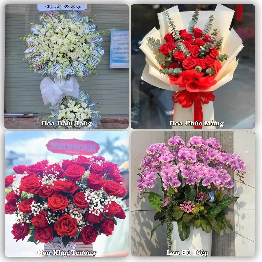 Tư vấn chọn hoa theo người nhận và dịp tặng tại Phường Mỹ Phước Tây - Tỉnh Đồng Tháp