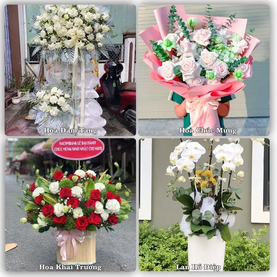 Hoa tươi Phường Nguyễn Đại Năng, Hải Phòng – mẫu hoa theo dịp, giá tham khảo