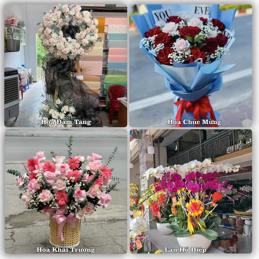 Tư vấn chọn hoa theo người nhận và dịp tặng tại Phường Nguyễn Đại Năng - Thành phố Hải Phòng