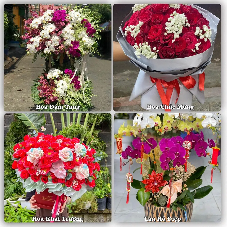 Mẫu hoa phục vụ nhu cầu đặt hoa tại Phường Nhị Chiểu - Thành phố Hải Phòng