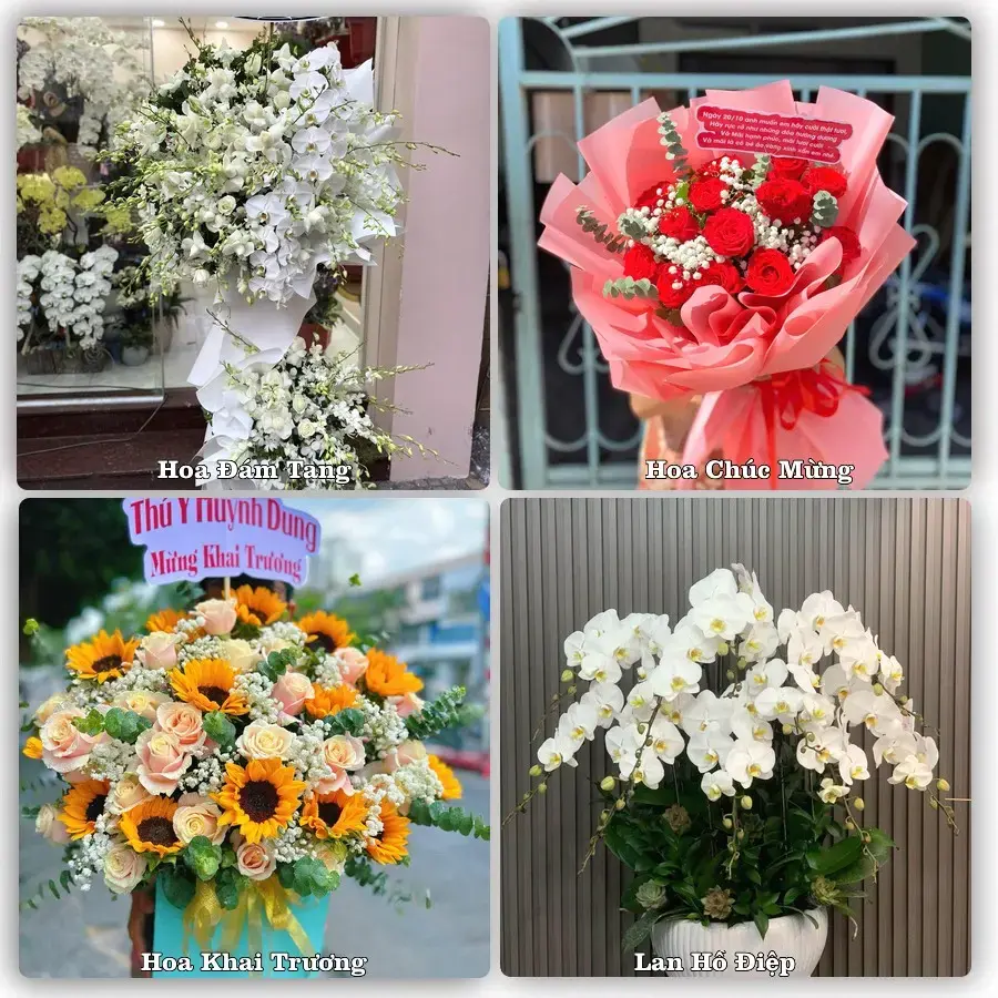 Tư vấn chọn hoa theo người nhận và dịp tặng tại Phường Nhị Chiểu - Thành phố Hải Phòng