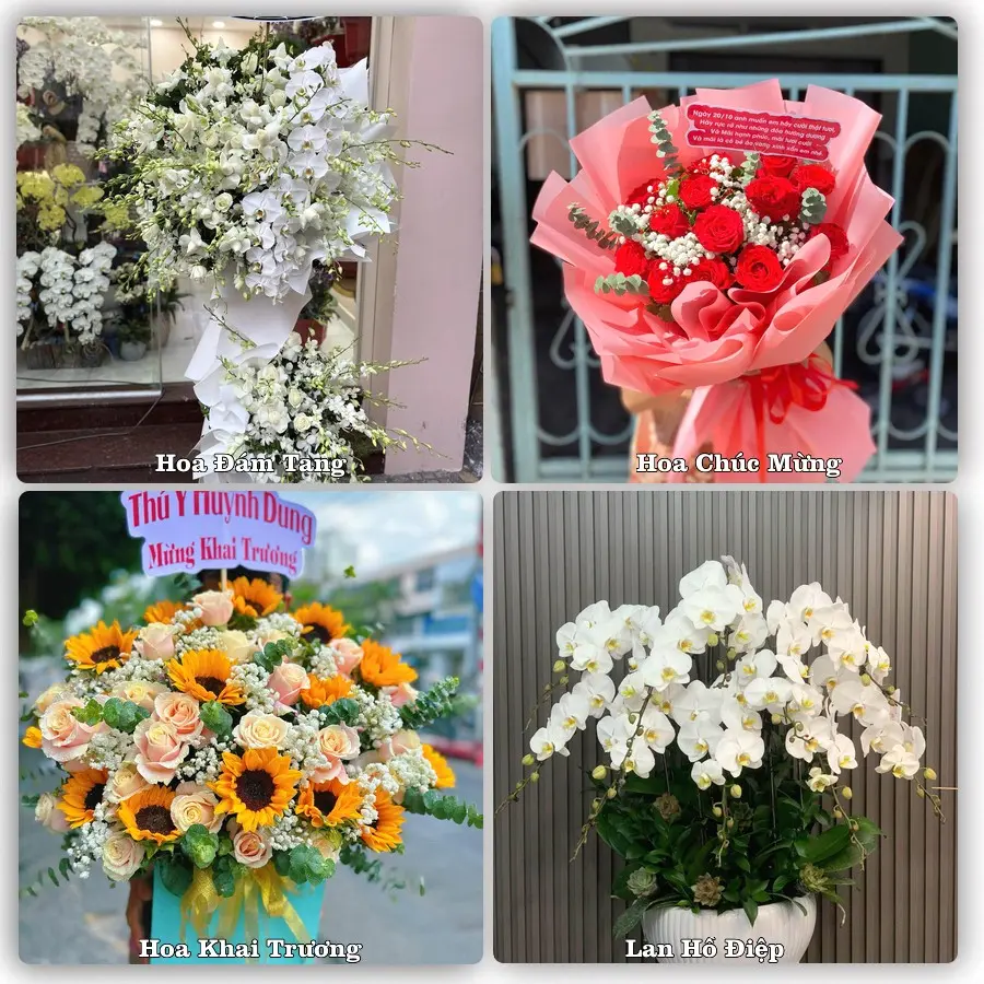Tư vấn chọn hoa theo người nhận và dịp tặng tại Phường Nhị Chiểu - Thành phố Hải Phòng