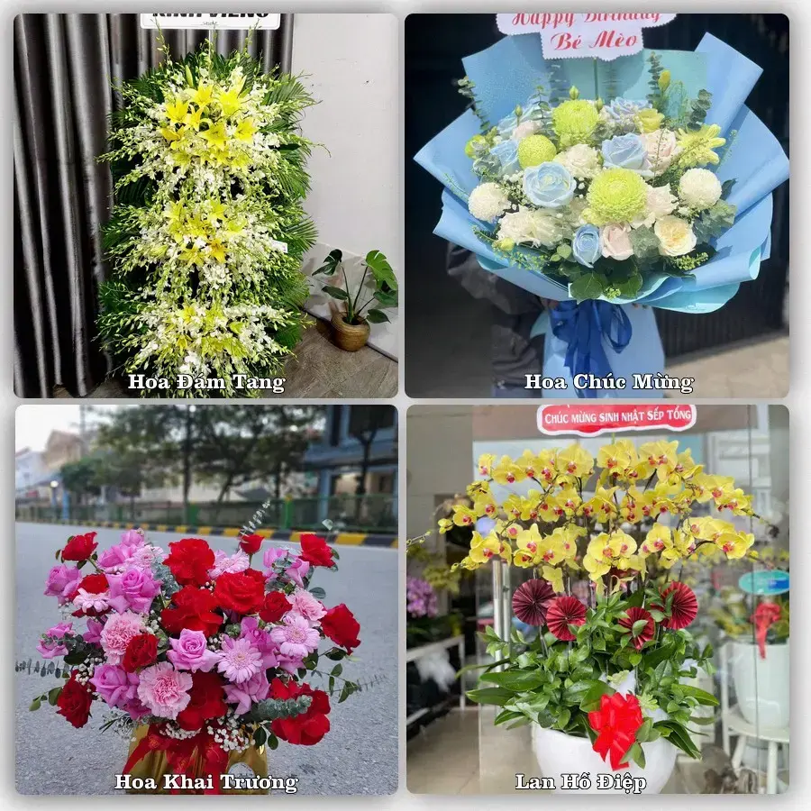 Shop hoa tươi Xã Phú Hòa Đông, Hồ Chí Minh – đặt hoa theo dịp, giao tận nơi