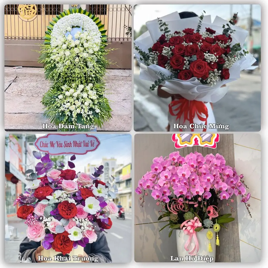 Tư vấn chọn hoa theo người nhận và dịp tặng tại Xã Phú Hòa Đông - Thành phố Hồ Chí Minh
