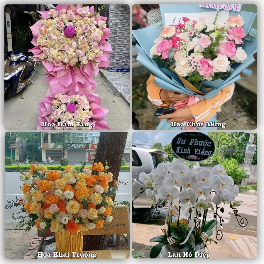 Dịch vụ đặt hoa và giao tận nơi tại Phường Phù Vân - Tỉnh Ninh Bình