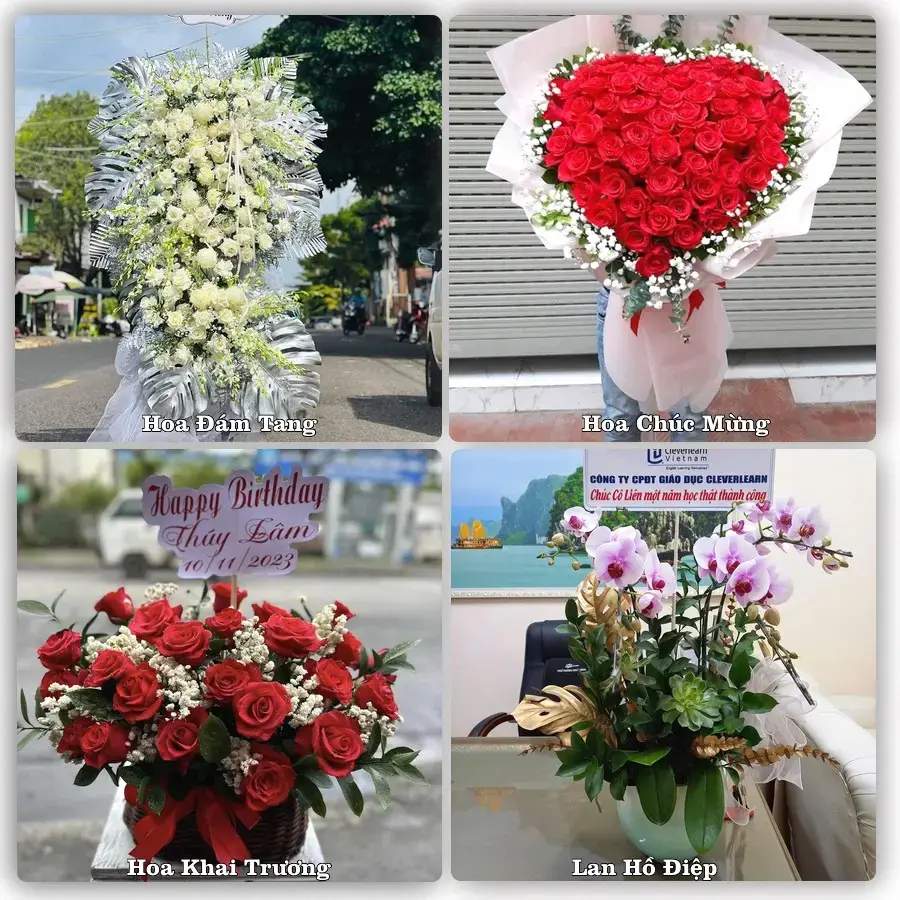 Hoa tươi Phường Phù Vân, Ninh Bình – mẫu hoa theo dịp, giá tham khảo