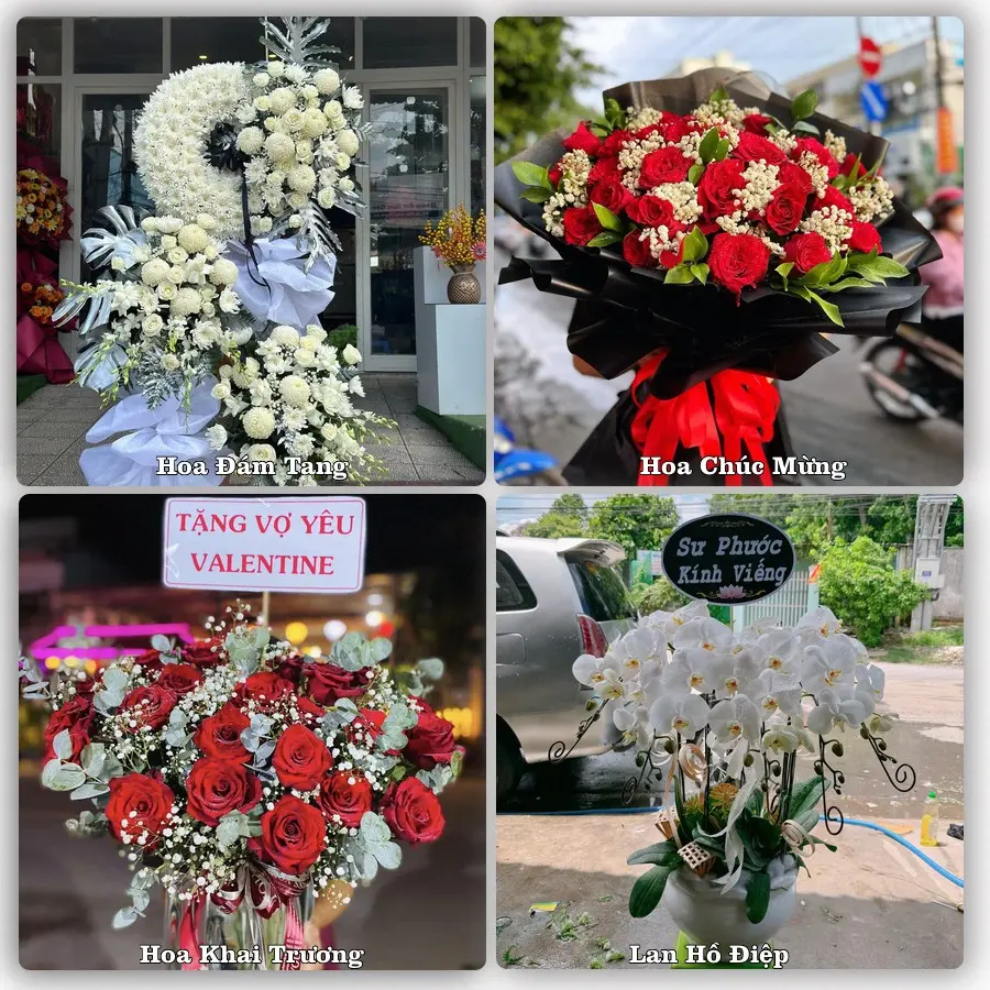 Tư vấn chọn hoa theo người nhận và dịp tặng tại Phường Phù Vân - Tỉnh Ninh Bình