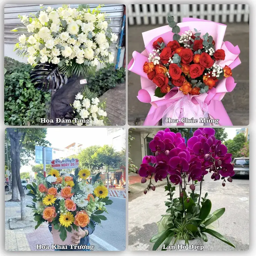 Hoa tươi Xã Phúc Lộc, Hà Nội – mẫu hoa theo dịp, giá tham khảo