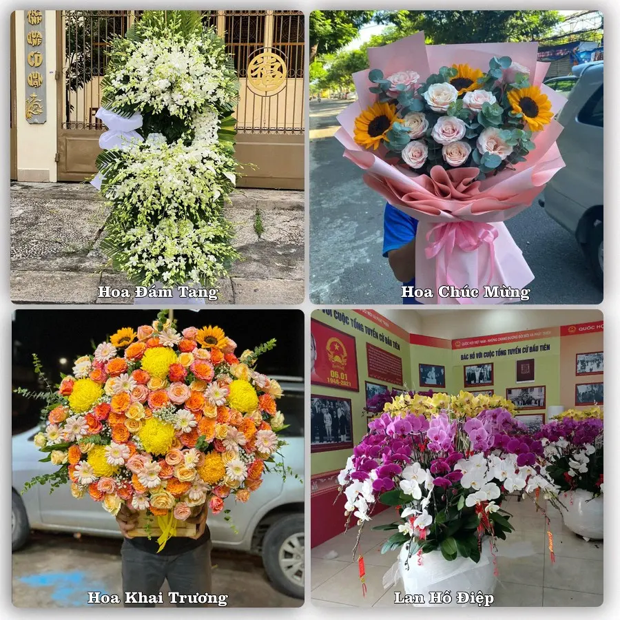Tư vấn chọn hoa theo người nhận và dịp tặng tại Xã Phúc Lộc - Thành phố Hà Nội