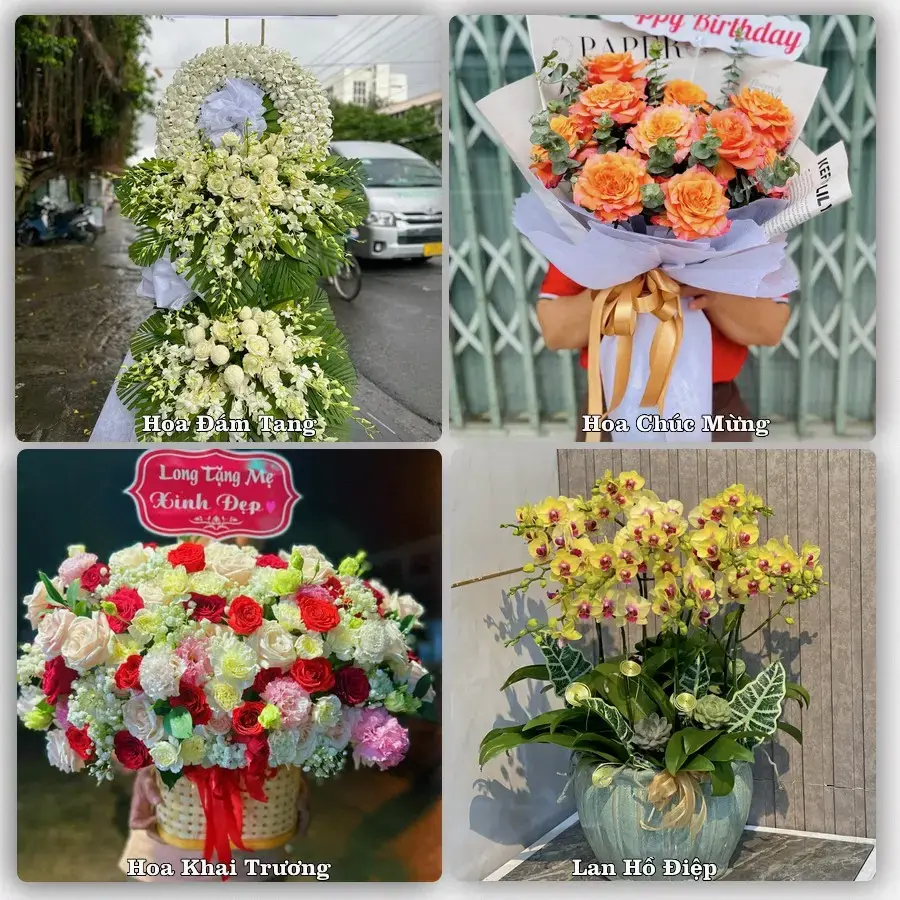 Hoa tươi Xã Sơn Tịnh, Quảng Ngãi – mẫu hoa theo dịp, giá tham khảo