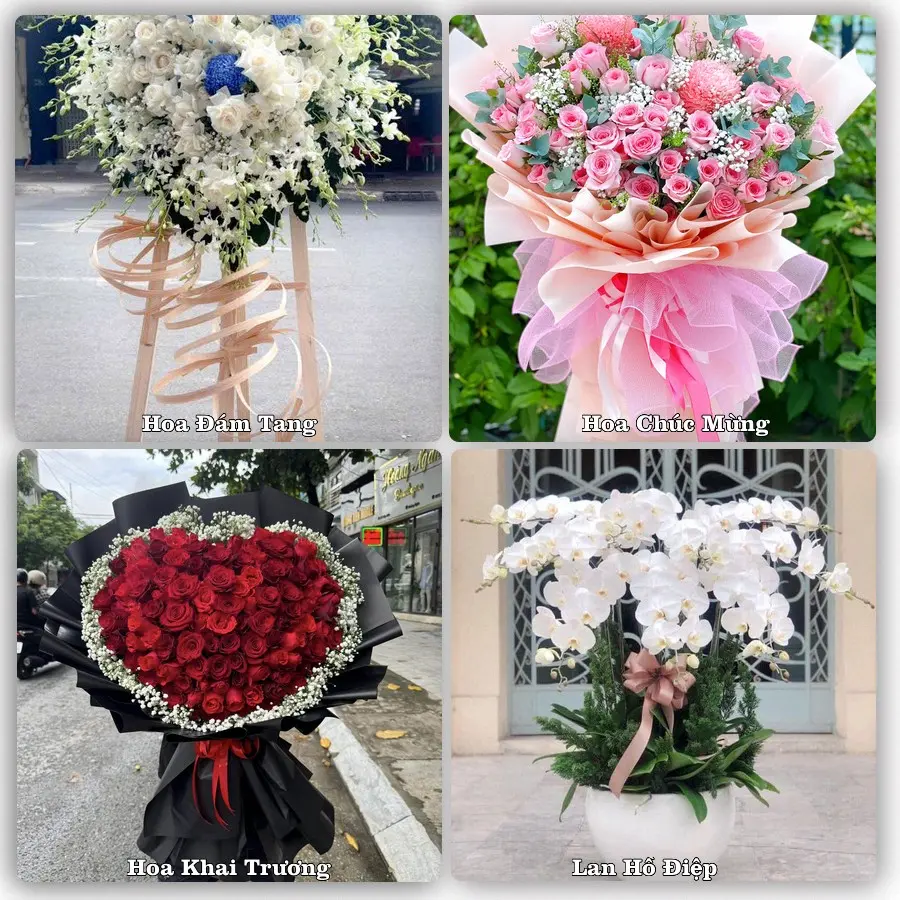 Tư vấn chọn hoa theo người nhận và dịp tặng tại Xã Sơn Tịnh - Tỉnh Quảng Ngãi
