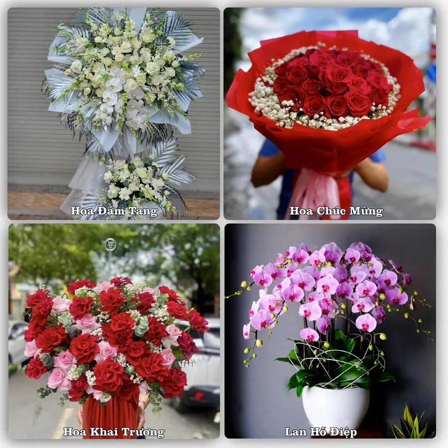 Tư vấn chọn hoa theo người nhận và dịp tặng tại Xã Tân An - Tỉnh An Giang
