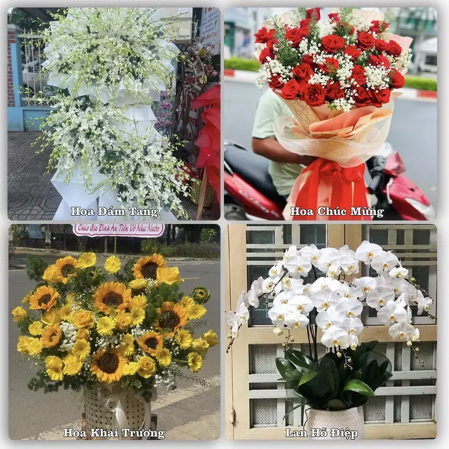 Hoa tươi Xã Vũ Dương, Ninh Bình – mẫu hoa theo dịp, giá tham khảo