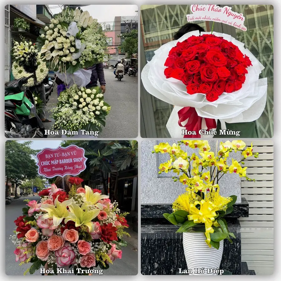 Tư vấn chọn hoa theo người nhận và dịp tặng tại Xã Vũ Dương - Tỉnh Ninh Bình